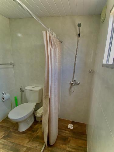 a bathroom with a toilet and a shower at Casa pet friendly, se reserva con seña in Piriápolis