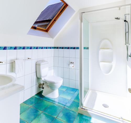 a bathroom with a toilet and a shower at Alpine Vista in Lake Tekapo