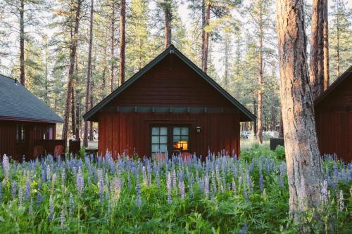 a red cabin in the middle of a field of purple flowers at FivePine Lodge in Sisters