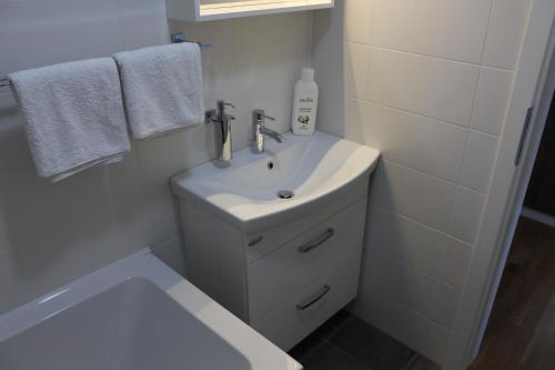 ein weißes Bad mit einem Waschbecken und einem WC in der Unterkunft Hiša nasprot Sonca in Črnomelj