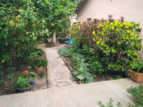 einen Garten mit Blumen und Pflanzen und einen Gehweg in der Unterkunft Hostal Izacalli in Los Potrerillos