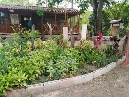 einen Garten mit Blumen vor einem Haus in der Unterkunft Hostal Izacalli in Los Potrerillos