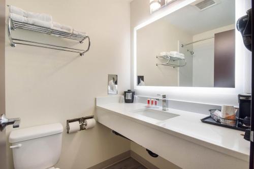 a bathroom with a toilet and a large mirror at Econo Lodge Umatilla Columbia River Area in Umatilla