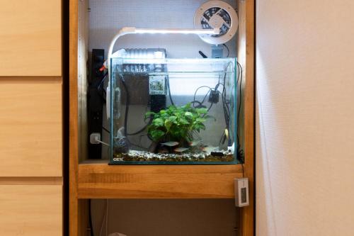 a fish tank in a cabinet with a plant in it at 池袋Apila in Tokyo