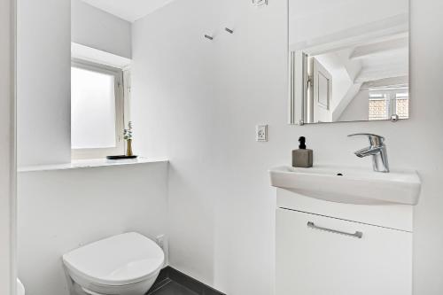 コペンハーゲンにあるSanders Penny - Charming Three-Bedroom Apartment in the Middle of Actionの白いバスルーム(トイレ、シンク付)