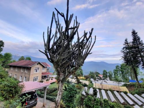a sculpture of a tree in front of a building at Aaravi Garden Homestay in Kalimpong