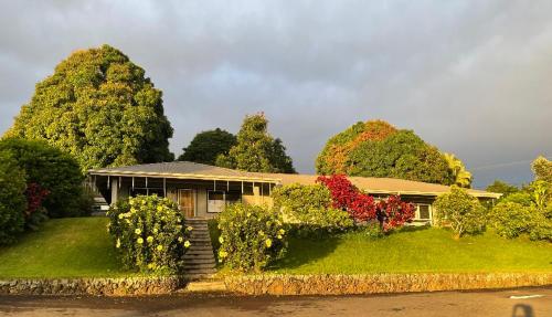 a house with a bunch of trees in front of it at Kona Joe Coffee Farm in Kealakekua