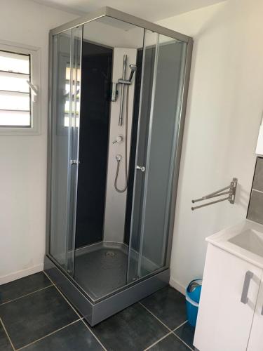 um chuveiro numa casa de banho com uma caixa de vidro em Chalet des capucines em La Plaine des Palmistes
