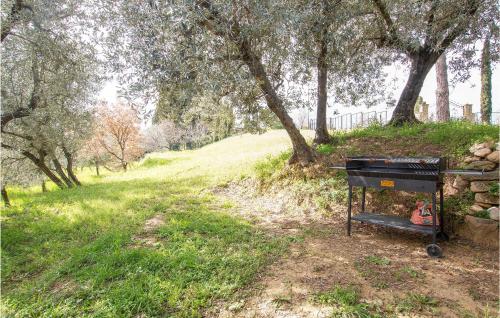 a grill sitting on a dirt road next to trees at 1 Bedroom Nice Apartment In Volterra in Volterra