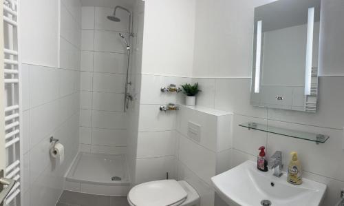 a white bathroom with a toilet and a sink at Familienfreundliche Ferienwohnung Bayerischer Wald mit Pool in Freyung