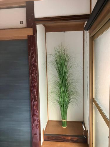a plant in a vase on a shelf next to a door at Casa Viento Stay Inn in Hiroshima