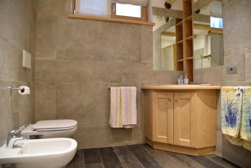 a bathroom with a toilet and a sink and a mirror at via SOIA 1 in Canale dʼAgordo