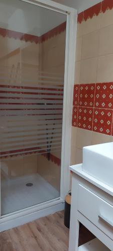 a bathroom with a shower with a mirror and a sink at Chez Margarett in Royan