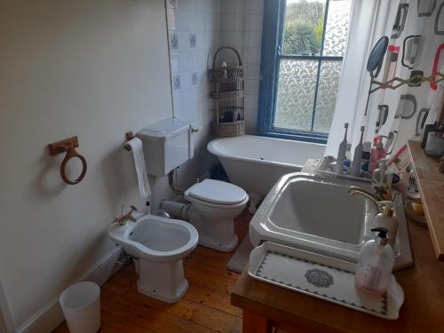 a bathroom with a sink and a toilet and a tub at Annesley Park-Homestay AP in Dublin