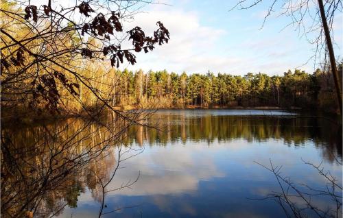 a view of a lake with trees in the background at Stunning Home In Vorden With Wifi in Vorden