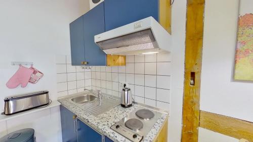 eine kleine Küche mit einer Spüle und einer Mikrowelle in der Unterkunft Rügenhof Kap Arkona in Putgarten