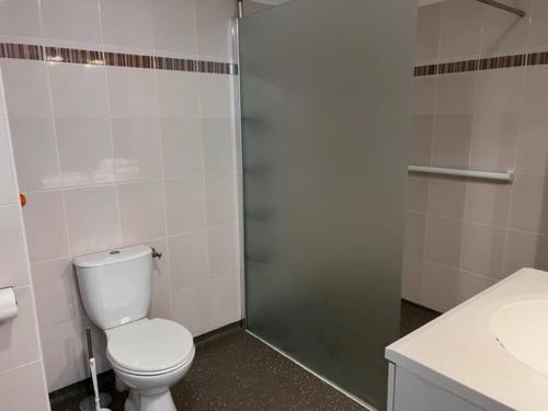La salle de bains est pourvue de toilettes, d'une douche et d'un lavabo. dans l'établissement Les bords de l'Aveyron, à Nègrepelisse
