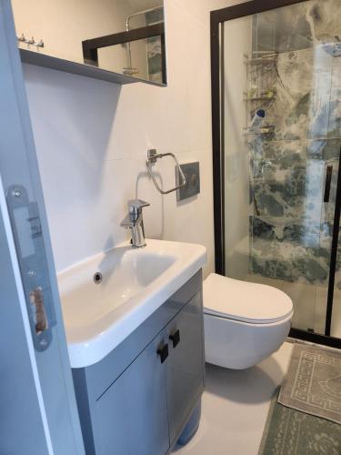 een badkamer met een wastafel, een toilet en een douche bij White coral house in Dalaman