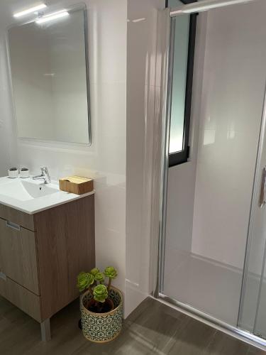 a bathroom with a sink and a shower with a potted plant at Porto Smart Apartments Comfort in Perafita