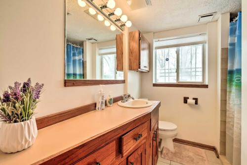 een badkamer met een wastafel en een spiegel bij Pet-Friendly Apartment in Minneapolis! in Minneapolis