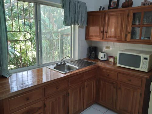 Kuchyň nebo kuchyňský kout v ubytování Moves Rasta Cottage