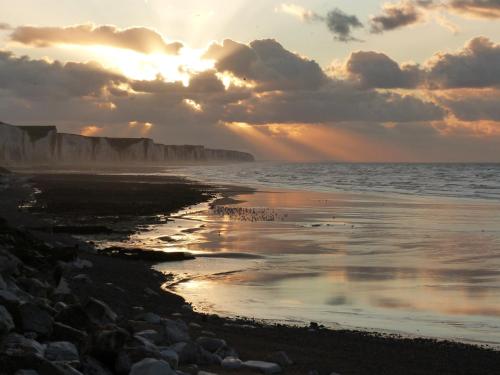 a group of birds on the beach at sunset at les coquelicots in Nibas