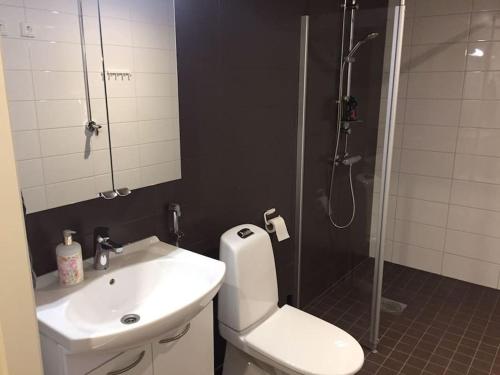 uma casa de banho com um WC, um lavatório e um chuveiro em Uusi tilava kaksio Jyväskylän ydinkeskustassa 53 m2 em Jyväskylä