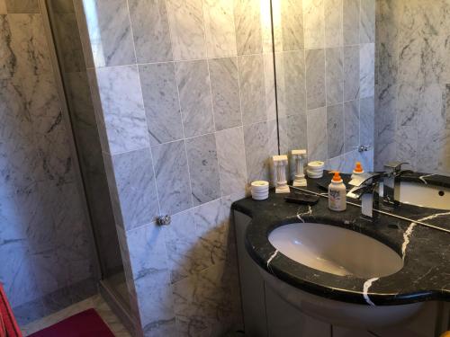 ein Bad mit einem Waschbecken und einer Dusche in der Unterkunft Inspiration über dem See in Locarno