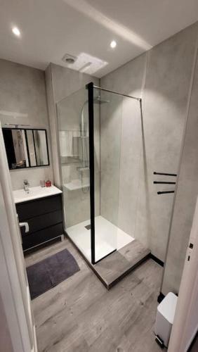 une salle de bain avec douche et lavabo dans l'établissement Hypercentre Chambéry, à Chambéry