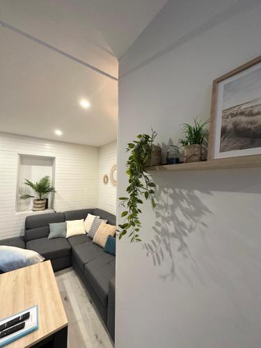 uma sala de estar com um sofá e uma mesa em LE COSY - Classé 3 étoiles - Nay centre - Appartement em Nay