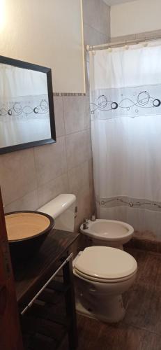 La salle de bains est pourvue de toilettes, d'un lavabo et d'une douche. dans l'établissement HERMOSO DÚPLEX NECOCHEA, à Necochea