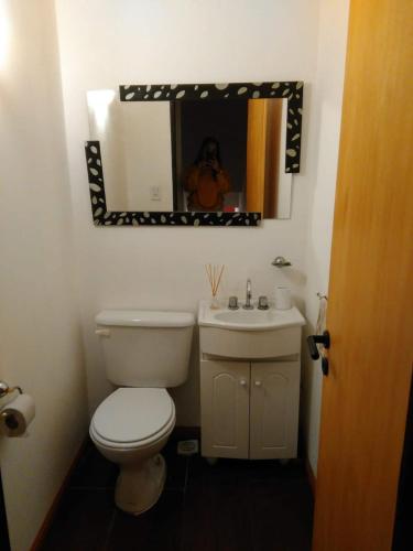 La salle de bains est pourvue de toilettes blanches et d'un miroir. dans l'établissement HERMOSO DÚPLEX NECOCHEA, à Necochea