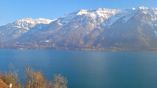 a large body of water with snow covered mountains at Alpina Boutique Hotel Interlaken - Ringgenberg - Adults only ! in Ringgenberg