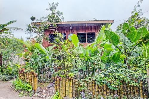 a garden with a fence in front of a house at Tastura Homestay in Praya