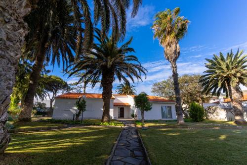 a house with palm trees in the yard at Dune Beach CoLiving in Porto Santo