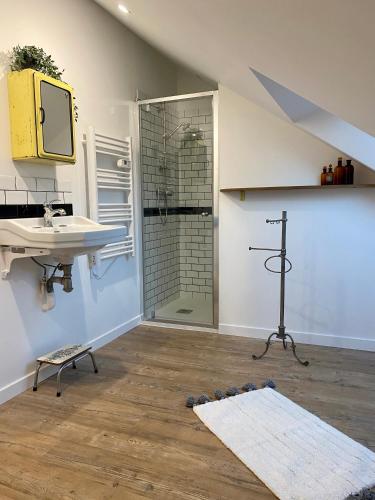 une salle de bain avec un lavabo et une douche avec un miroir dans l'établissement Cosy appartement dans le Perche, à Val-au-Perche