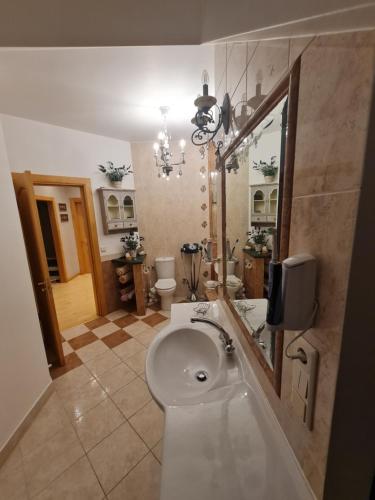 un baño con lavabo y espejo en Apartment Kiss, en Riga