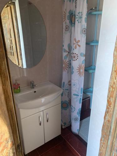 ein Bad mit einem Waschbecken und einem Spiegel in der Unterkunft Popas Regal 