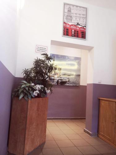 a room with a large potted plant on a wall at Elifim in Berlin