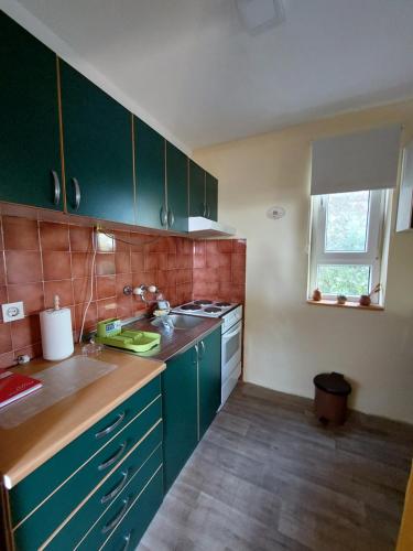 - une cuisine avec des placards verts et un évier dans l'établissement OLOR Apartman 2 - Banoštor, à Banoštor