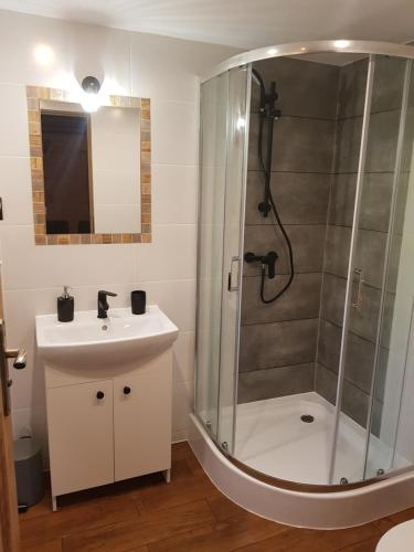a bathroom with a shower and a sink at Domek Letniskowy Monika in Jeziorowskie