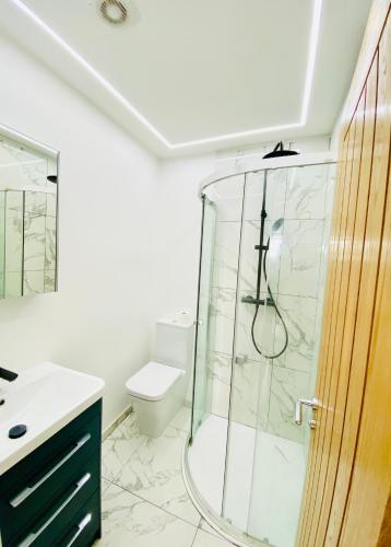 a bathroom with a shower and a toilet at New studio flat overlooking city centre in Kingston upon Thames