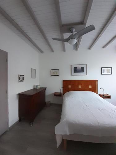 a bedroom with a bed and a ceiling fan at La pause sous le pin B&B Chambres d'hôtes in Capestang