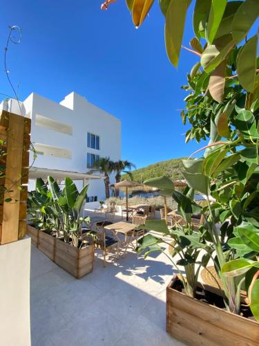 eine Terrasse mit Pflanzen und ein weißes Gebäude in der Unterkunft The Olive Boutique Suites & Spa in Cala Llonga