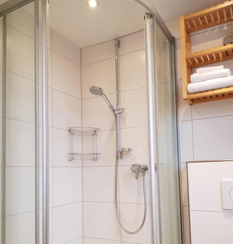 a shower with a glass door in a bathroom at Ferienwohnung Niederrhein in Wesel