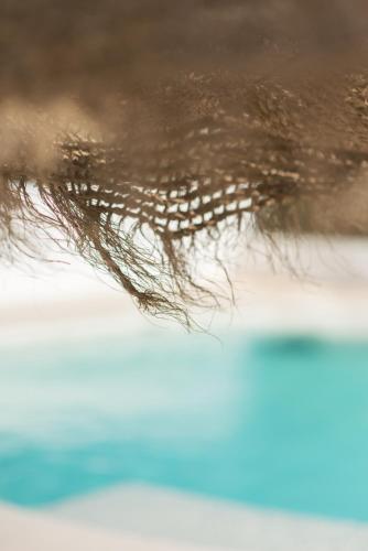 The Olive Boutique Suites & Spa – Photos 5
