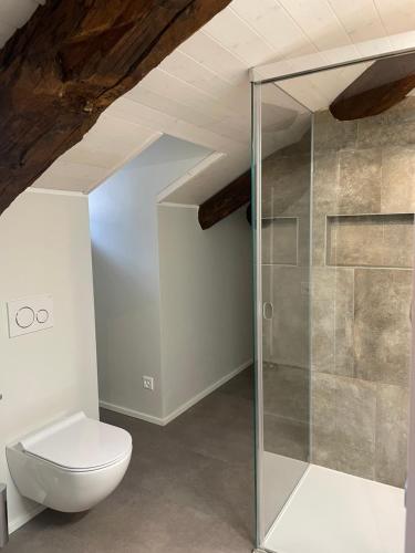 uma casa de banho com um WC e uma cabina de duche em vidro. em Appartamento Winterland 10 em Muralto
