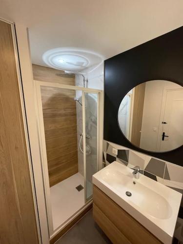 une salle de bain avec un lavabo et une douche avec un miroir dans l'établissement Zosca - SILS, à Caen
