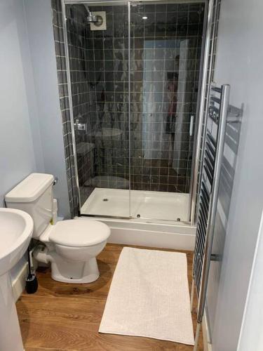 a bathroom with a shower and a toilet and a sink at Flat2BeckfordMews in Cowes