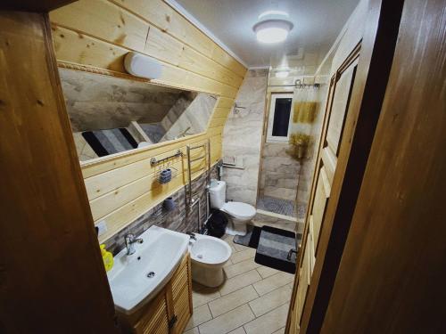 a bathroom with a toilet and a sink at Sadyba Lileya in Verkhovyna